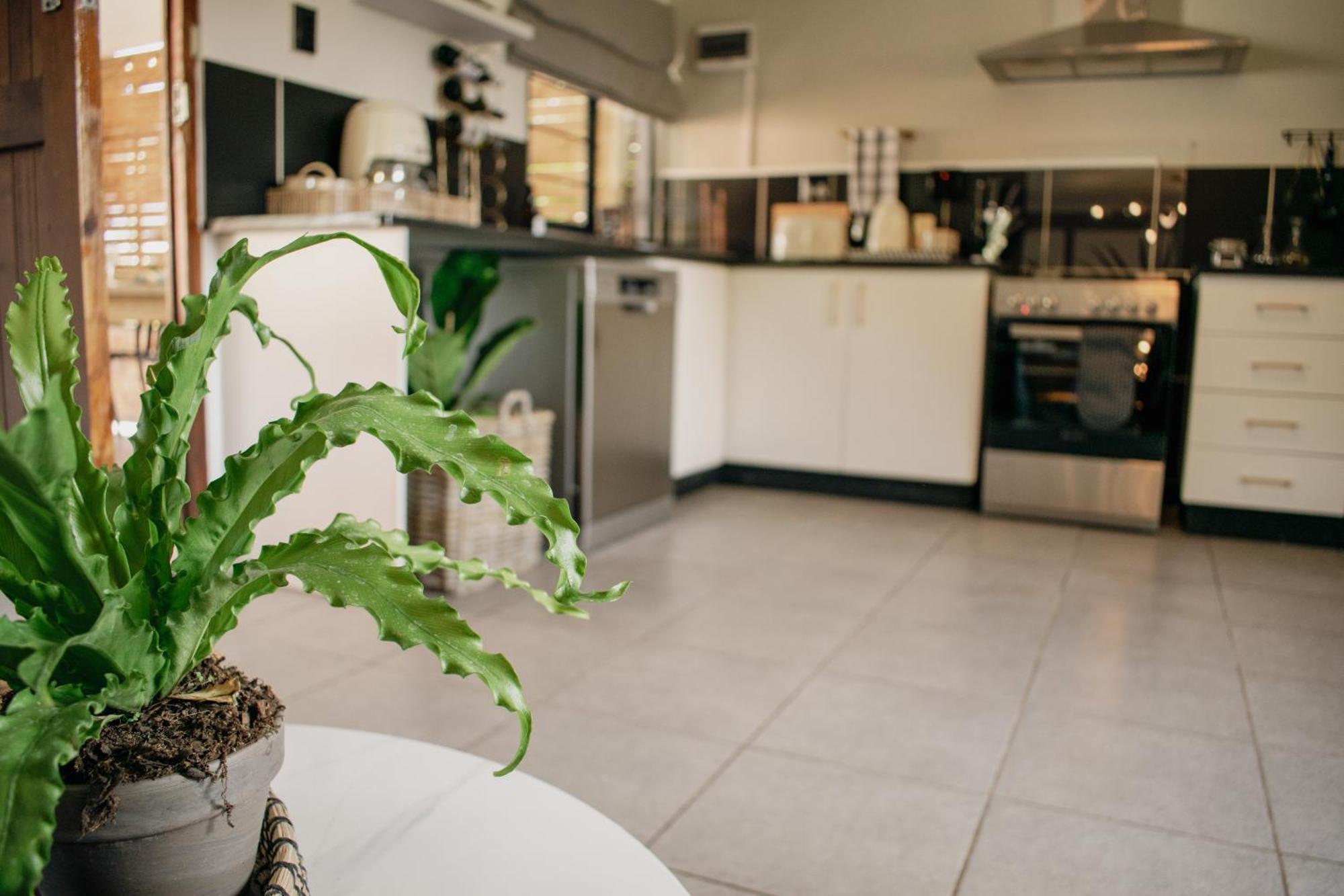 No 1 Dicks Street Apartment Howick Kültér fotó